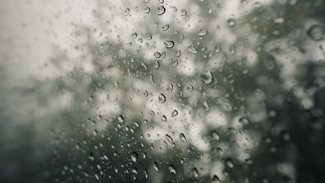 rain water droplets on glass, large rain drops strike a window pane during a summer shower incosta rica jungle