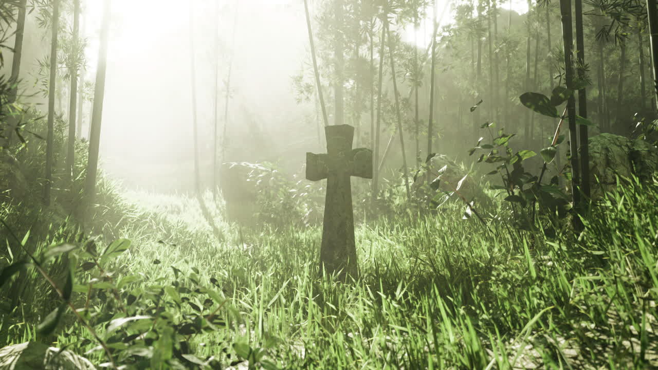 Sunlight filters through trees illuminating a weathered grave marker in nature
