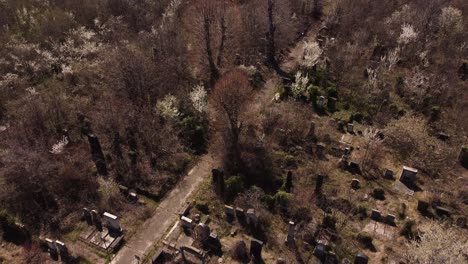 old and abandoned cemetery, halloween theme