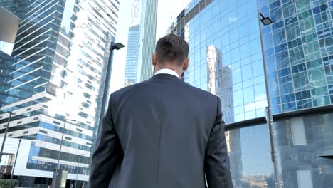 walking businessman, back view