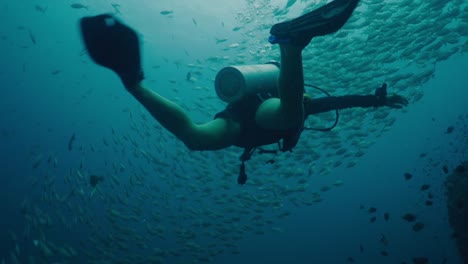 scuba diver surrounded by a school of fish underwater