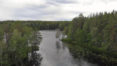 Vista-Aérea-Del-Lago-Nedre-Dammen-En-Gammelstilla,-Gästrikland,-Suecia-Con-La-Pequeña-Isla-Fuera-De-Skoludden