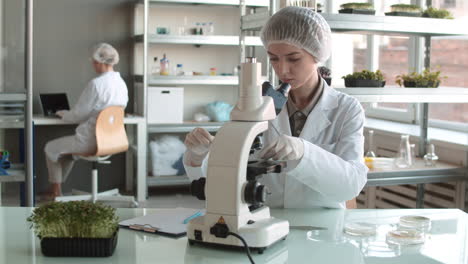 scientist working in a laboratory with microscope and plants