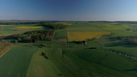 Vuelo-De-Drones-Sobre-Campos-Amarillos-Y-Verdes