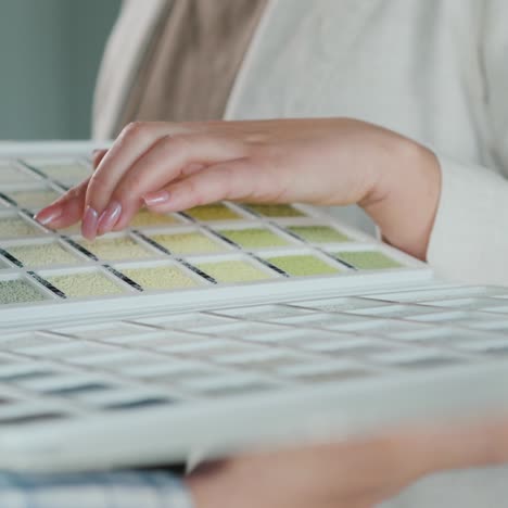 the woman chooses the paint while the seller shows her catalog with samples 1