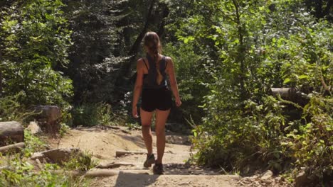 sporty young woman with braided hair in sporty attire hiking on a foot path in forest on a sunny day