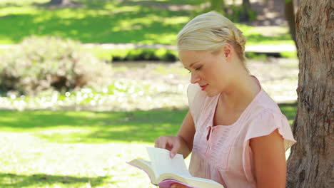 a woman reads a book by the tree as she then looks at the camera and smiles