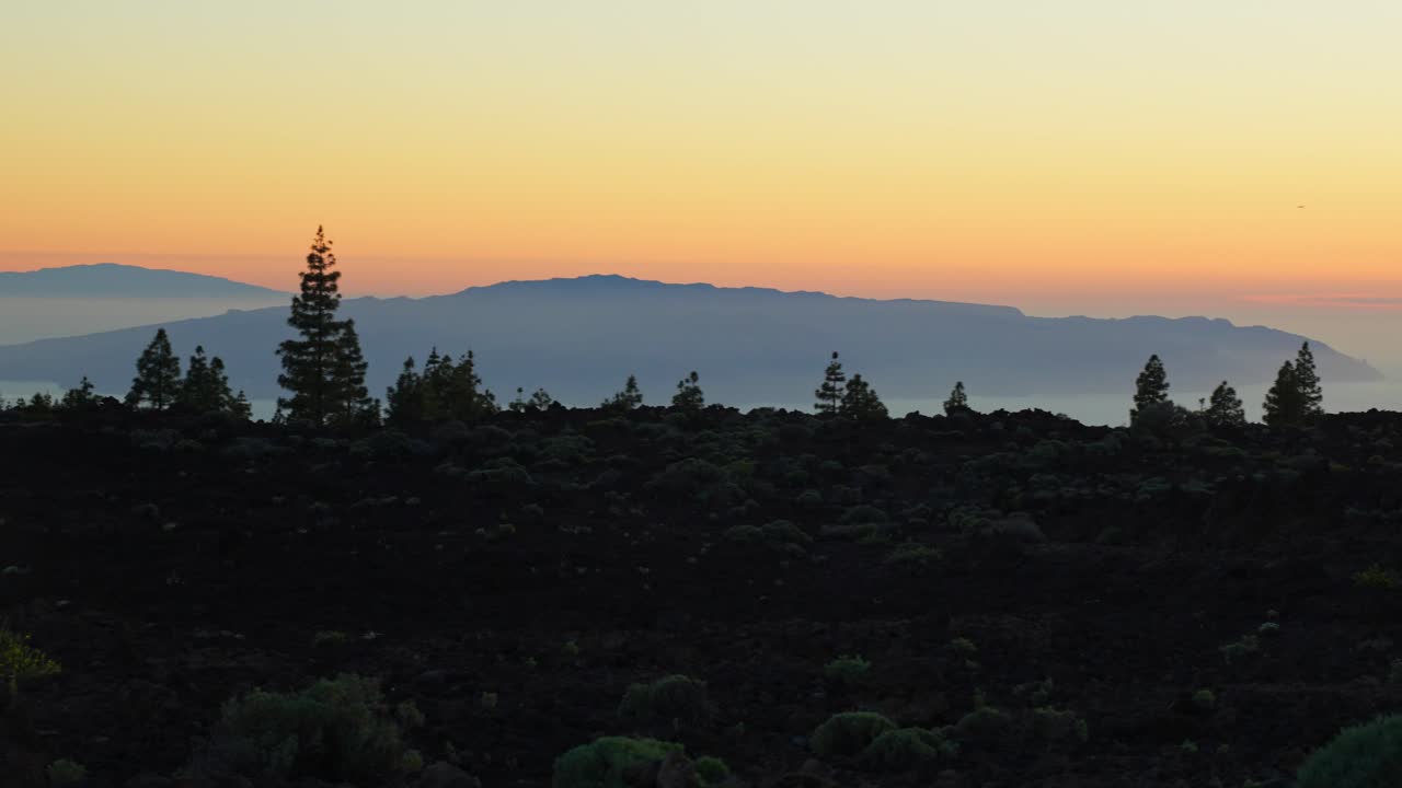 silueta del bosque y el resplandor del amanecer en el parque nacional del teide