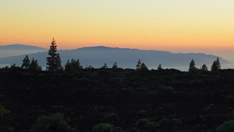 Silueta-De-Bosque-Y-Amanecer-Brillan-En-El-Parque-Nacional-Del-Teide