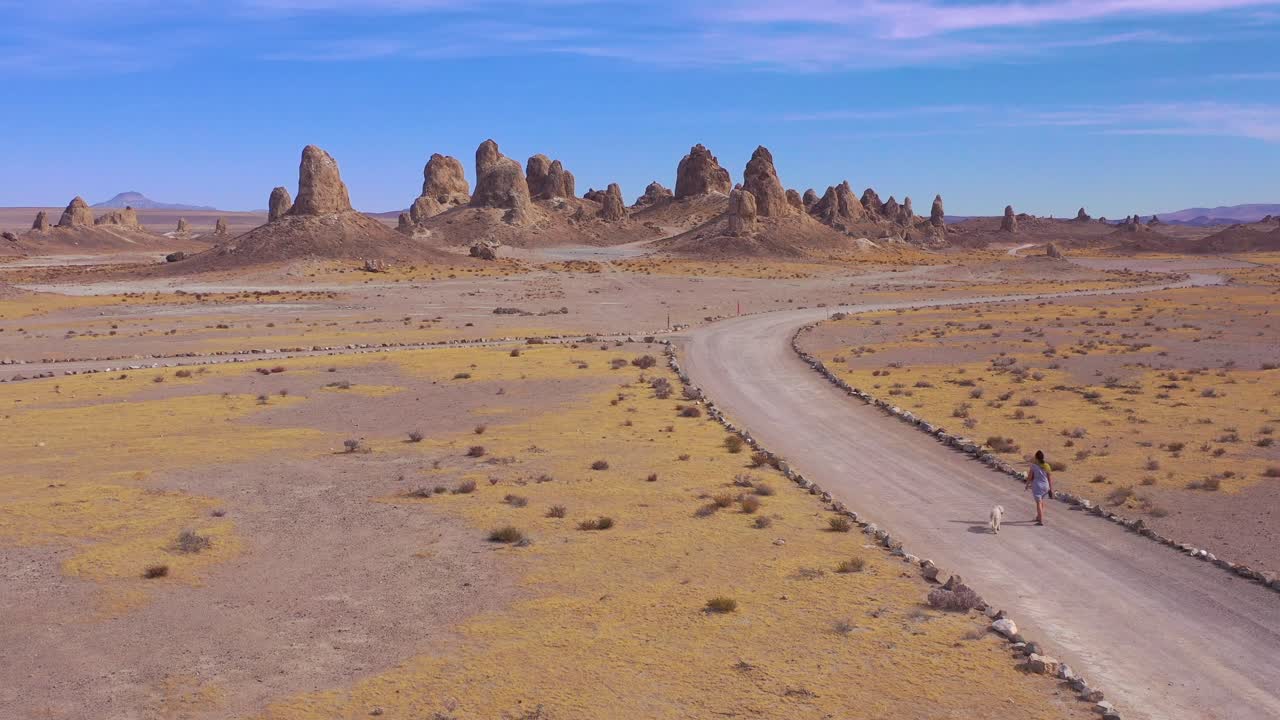한 여성과 개가 죽음의 계곡 근처 모하비 사막에 있는 트로나 피너클스 암석에서 비포장 도로를 걷고 있습니다.