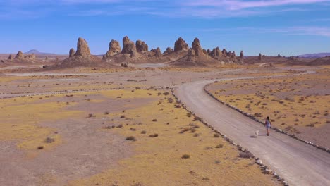 a woman and dog walk down a dirt road at the trona pinnacles rock formations in the mojave desert near death valley