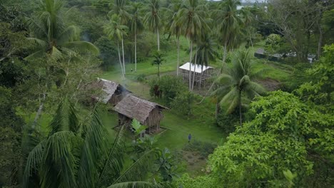 vista aérea avanzando disparada, por encima del árbol revelando cabañas y cultivos, humo saliendo de una cabaña en la aldea de kanganaman, región de sepik, papúa nueva guinea