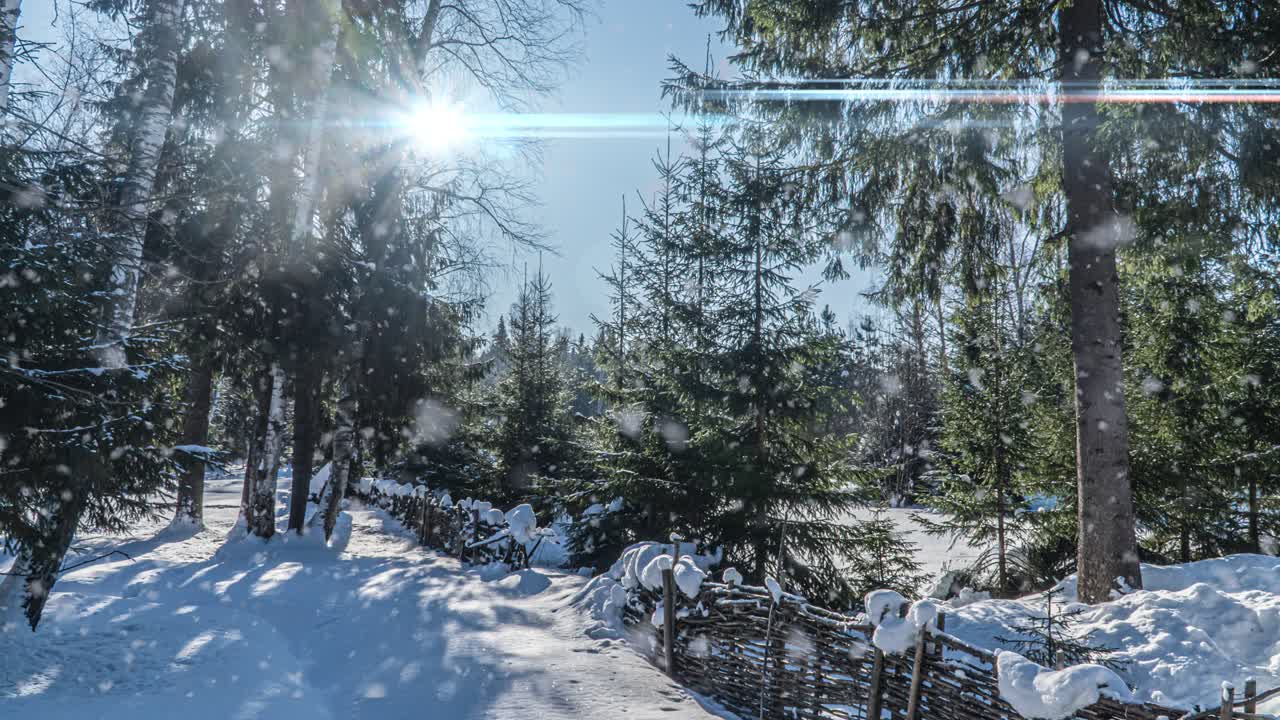 Sneklædt skov. Ovenfra-perspektiv i en sneklædt vinterskov, naturlandskab, frosne skove, smukt vinter solrigt landskab