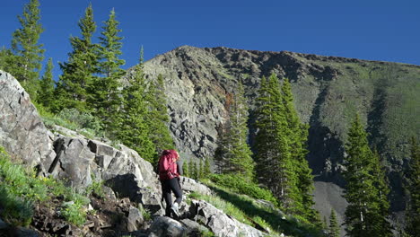 Back-View-of-Female-Hiker-in-Mountain-Landscape-on-Sunny-Day-Walking-Uphill-on-Hiking-Trail