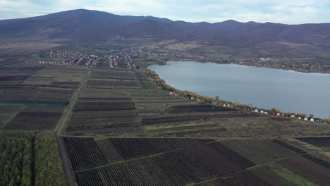 aerial view of a tranquil lake and vineyards surrounded by mountains