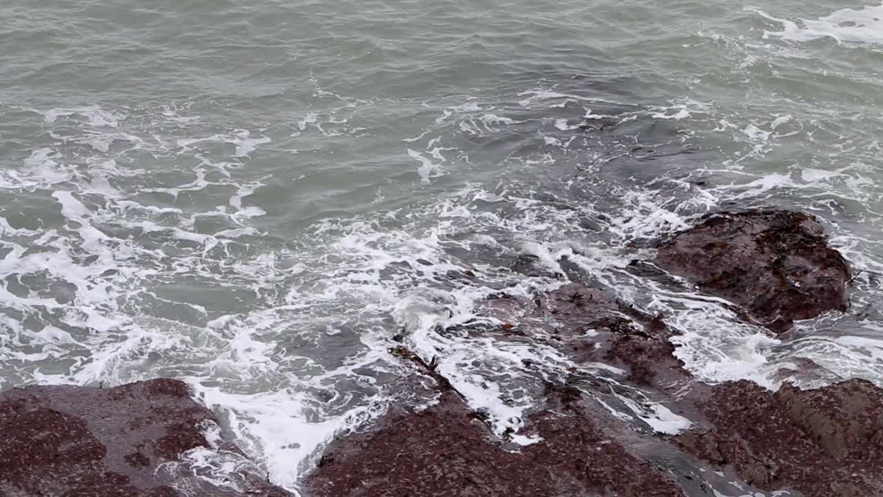olas rompiendo en la costa rocosa. devon inglaterra. reino unido