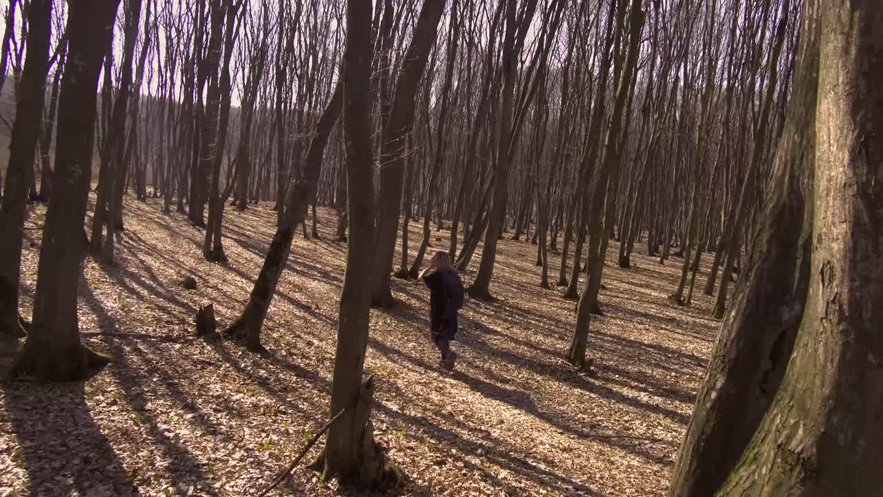 여자는 가을에 먼 숲을 산책한다
