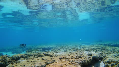 slow flight over healthy coral reef in crystal clear water of andaman sea in thailand