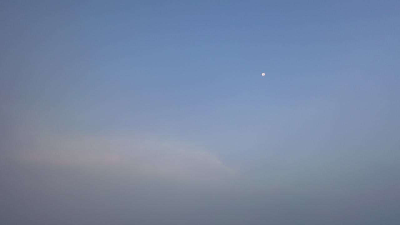 흐릿한 황혼하늘에 달