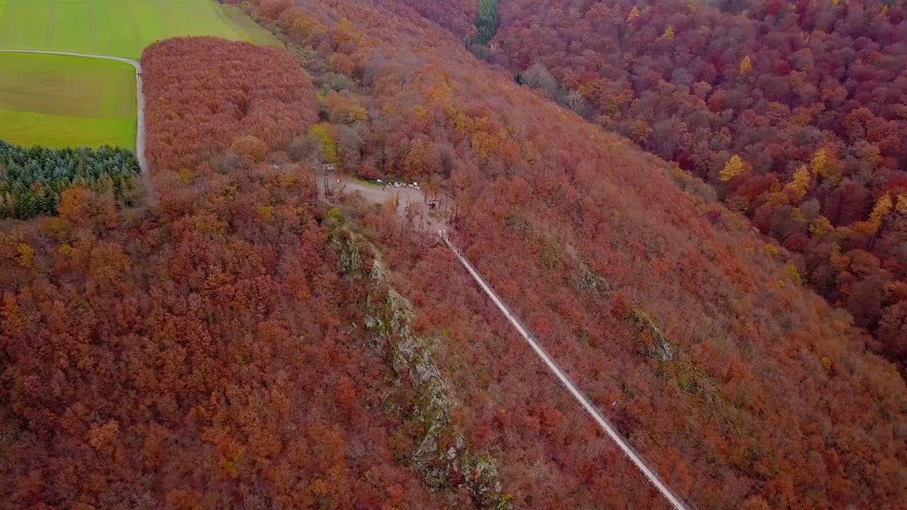 Aerial view of the Geierlay Suspension Bridge, in the middle of a lush orange forest during autumn