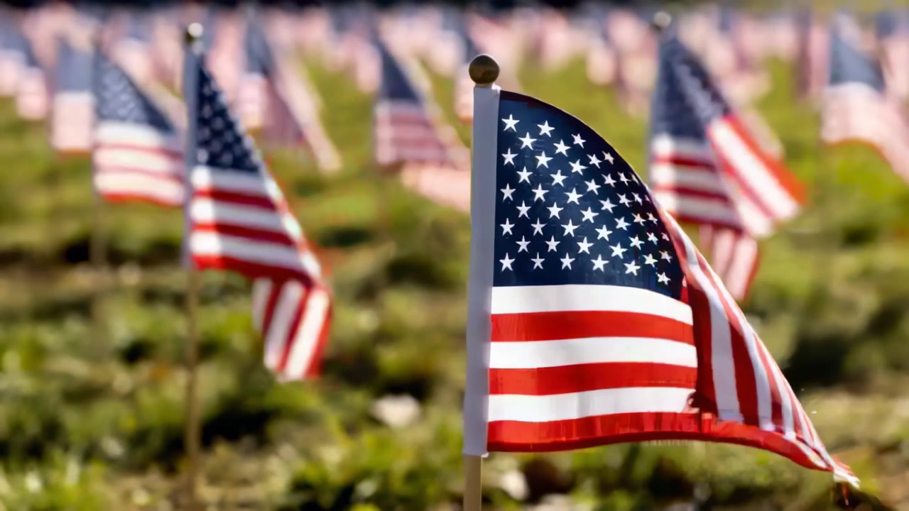 Framing US flag rippling on wooden pole gold finial in grassy field, light breeze moving rows