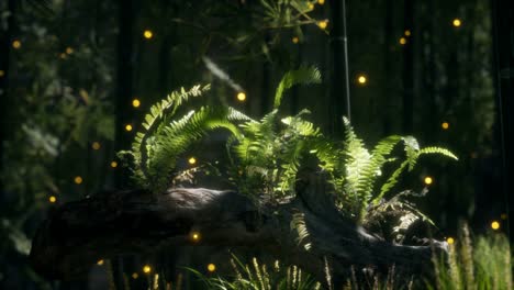 horizontally-bending-tree-trunk-with-ferns-growing,-and-sunlight-shining