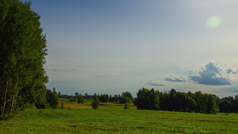 sereno lapso de tiempo de campo verde y árboles con el amanecer apenas visible detrás de las nubes rodantes