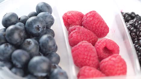 assorted berries in a divided container