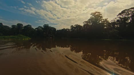 Birds-flying-at-the-tropical-rainforest-in-Tortuguero-national-park-at-daylight-along-the-Tortuguero-river-in-Costa-Rica,-Central-America-in-4K