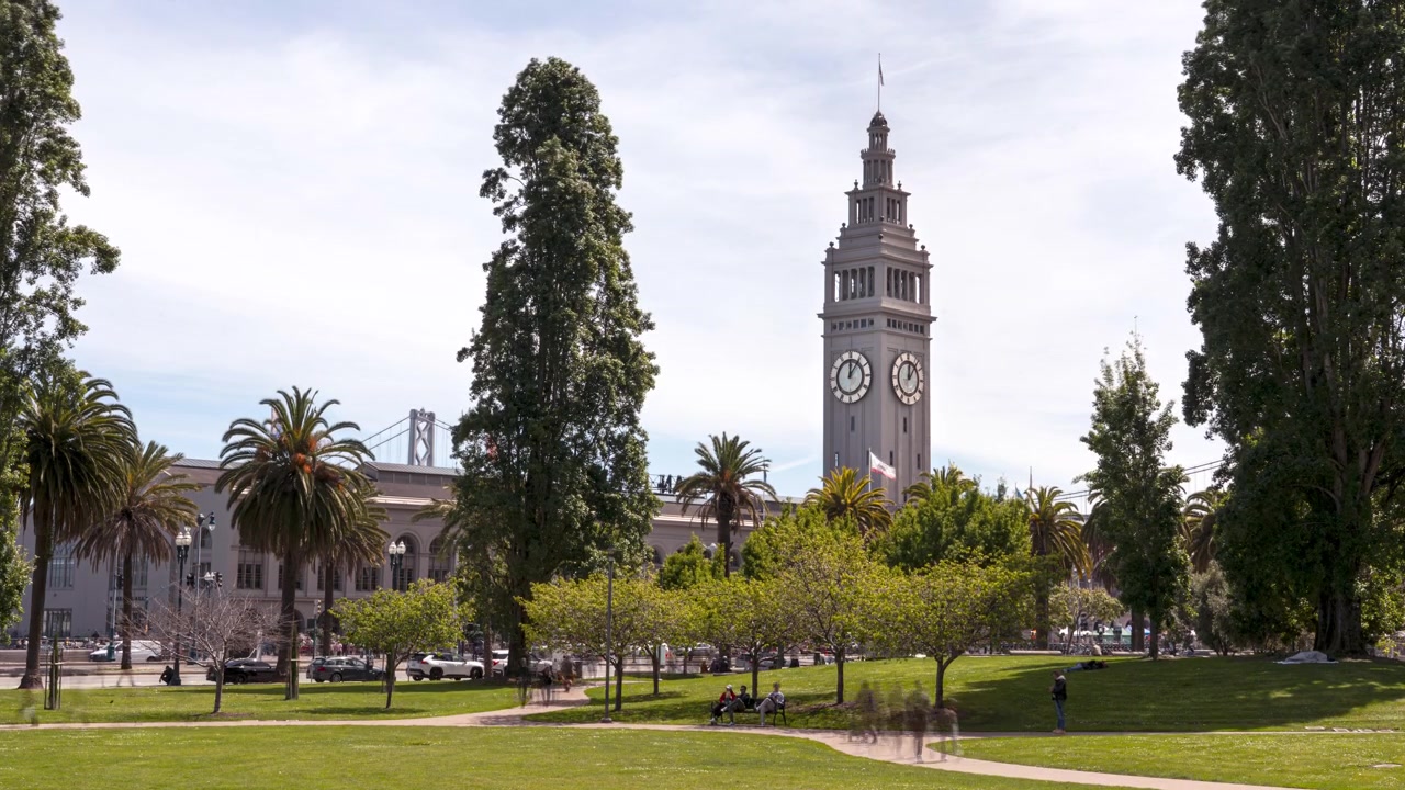 Timelapse estático da torre do relógio do Ferry Building emoldurada por palmeiras no Parque Sue Bierman.