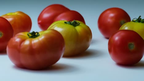 tomates giratorios en diferentes colores y luz suave desde el lado izquierdo y fondo blanco