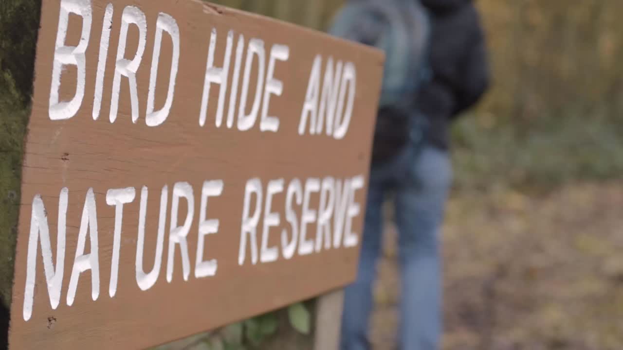 Visitor to bird hide and nature reserve in countryside