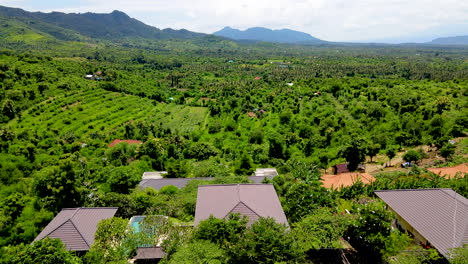 Vista-Aérea-De-Las-Estructuras-De-La-Casa-Balinesa-En-El-Valle-Verde-En-Indonesia