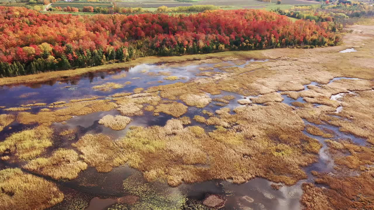 skyggeskygge bevæger sig over efterårets landskab