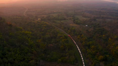 The train runs on tracks amid a beautiful green forest.