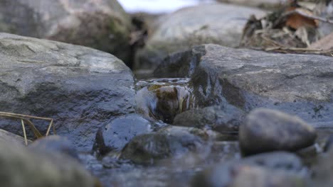 Close-up-of-Water-flowing-between-two-rocks-in-a-small-stream