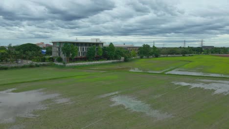 Rice-Paddy-Fields-with-Water-from-a-Rainstorm-in-Front-of-Navela-Hotel-with-Cloudy-Grey-Skies-in-Ratchaburi,-Thailand