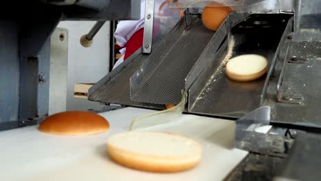 production of confectionery products. buns for burgers on a baking line