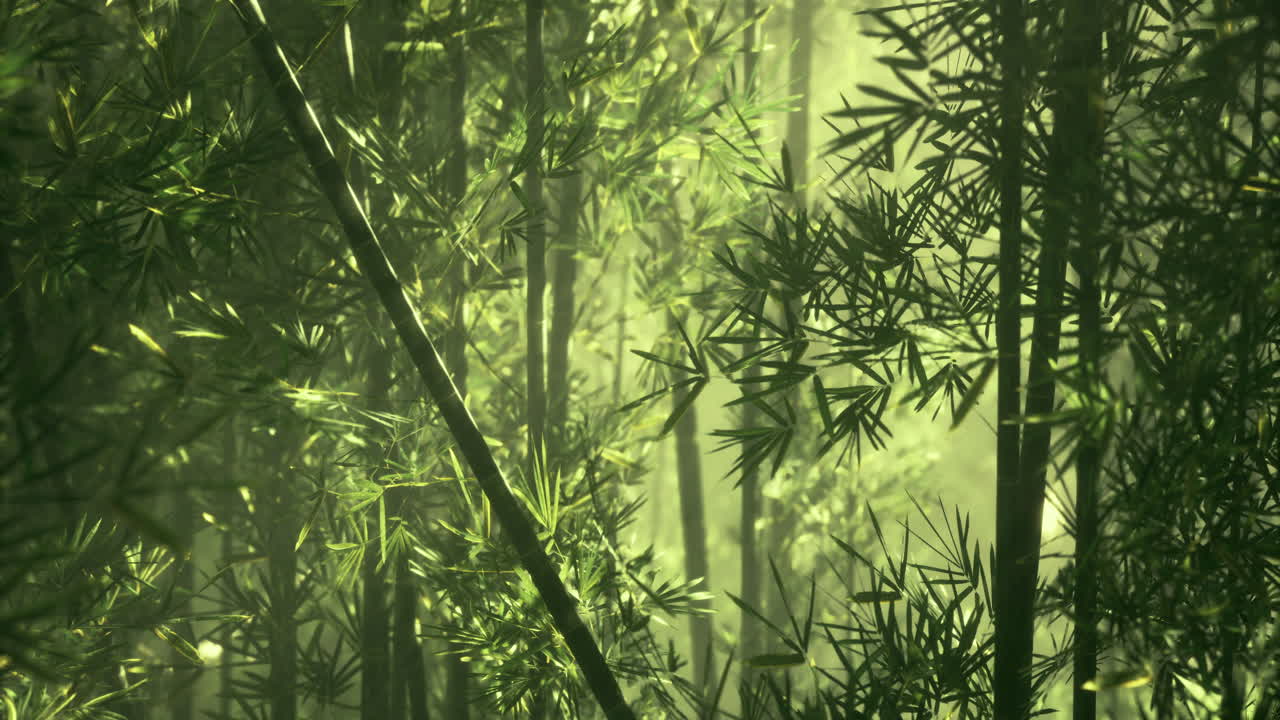 Vibrant sunlight shining through a lush bamboo forest in harmony