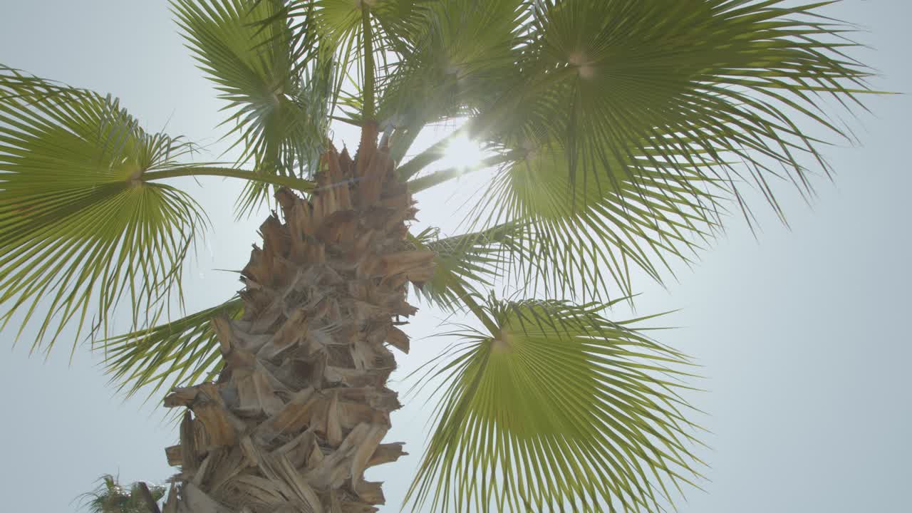 marina de antalya con el castillo de antalia
