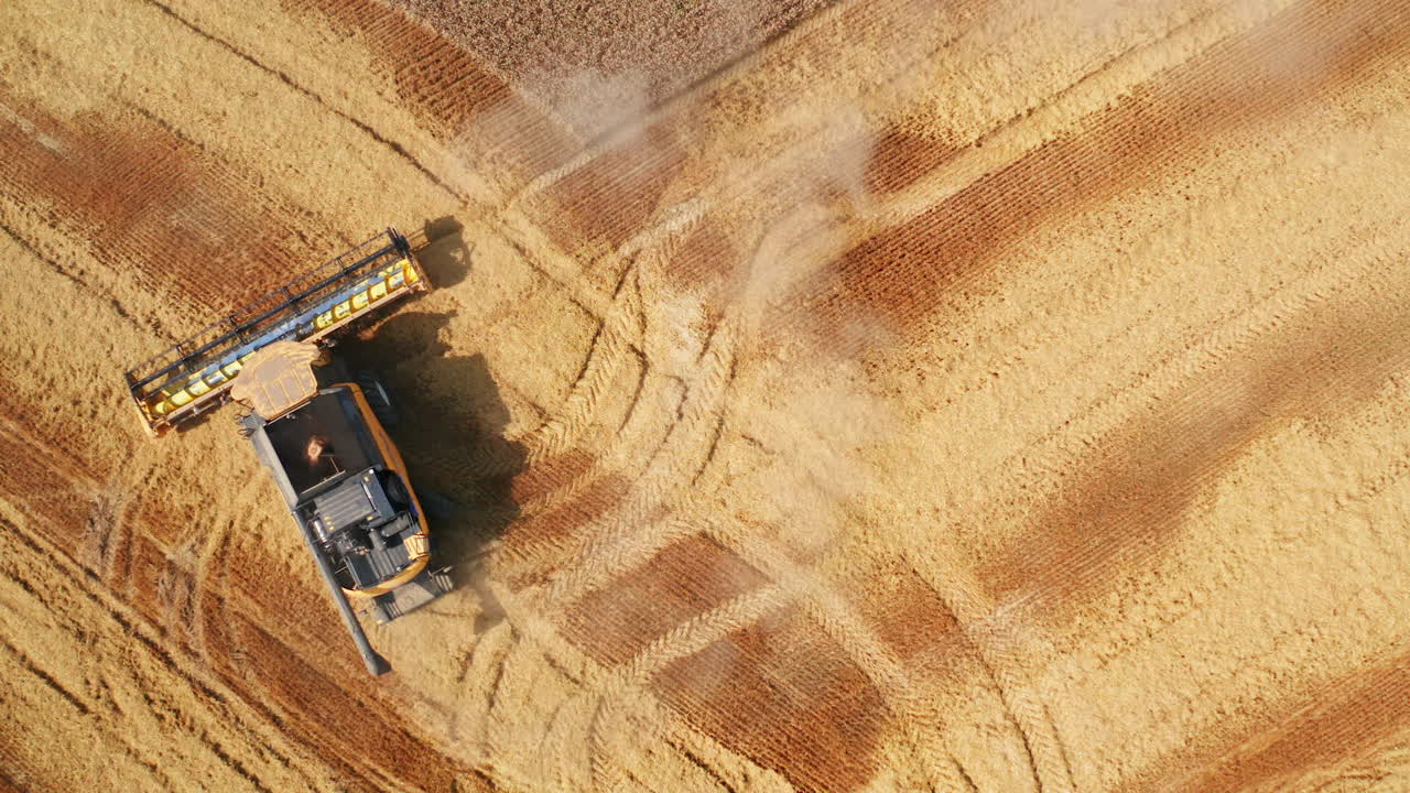 Powerful modern combine making turn in the field of wheat. Big machine leaving the curve trail in plantation. Aerial footage.