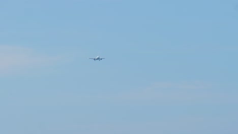 airplane flies in the blue sky