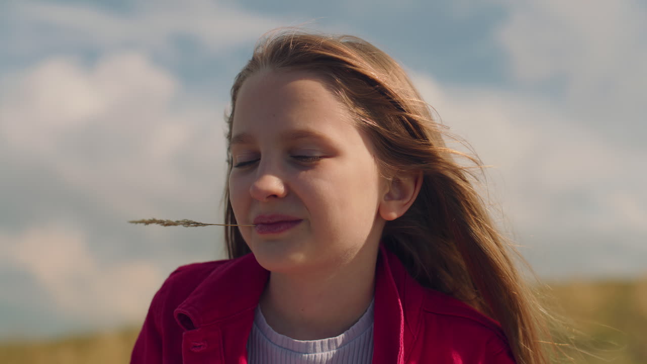 Beautiful Young Girl Sitting in an Office with a Happy Amazed Face while Watching a Laptop Beautiful Young Girl Sitting in an Office with a Happy Amazed Face while Watching a Laptop