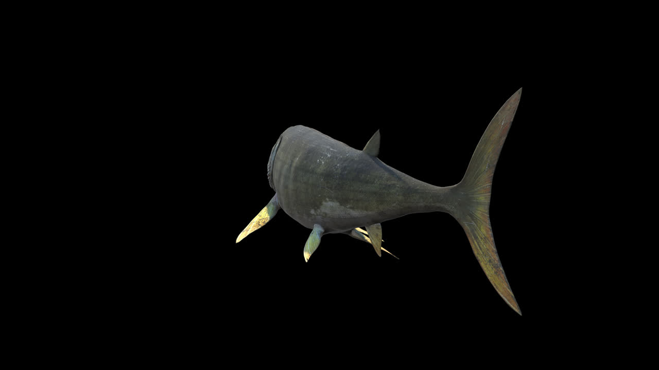 Xiphactinus Swims With Alpha Channel