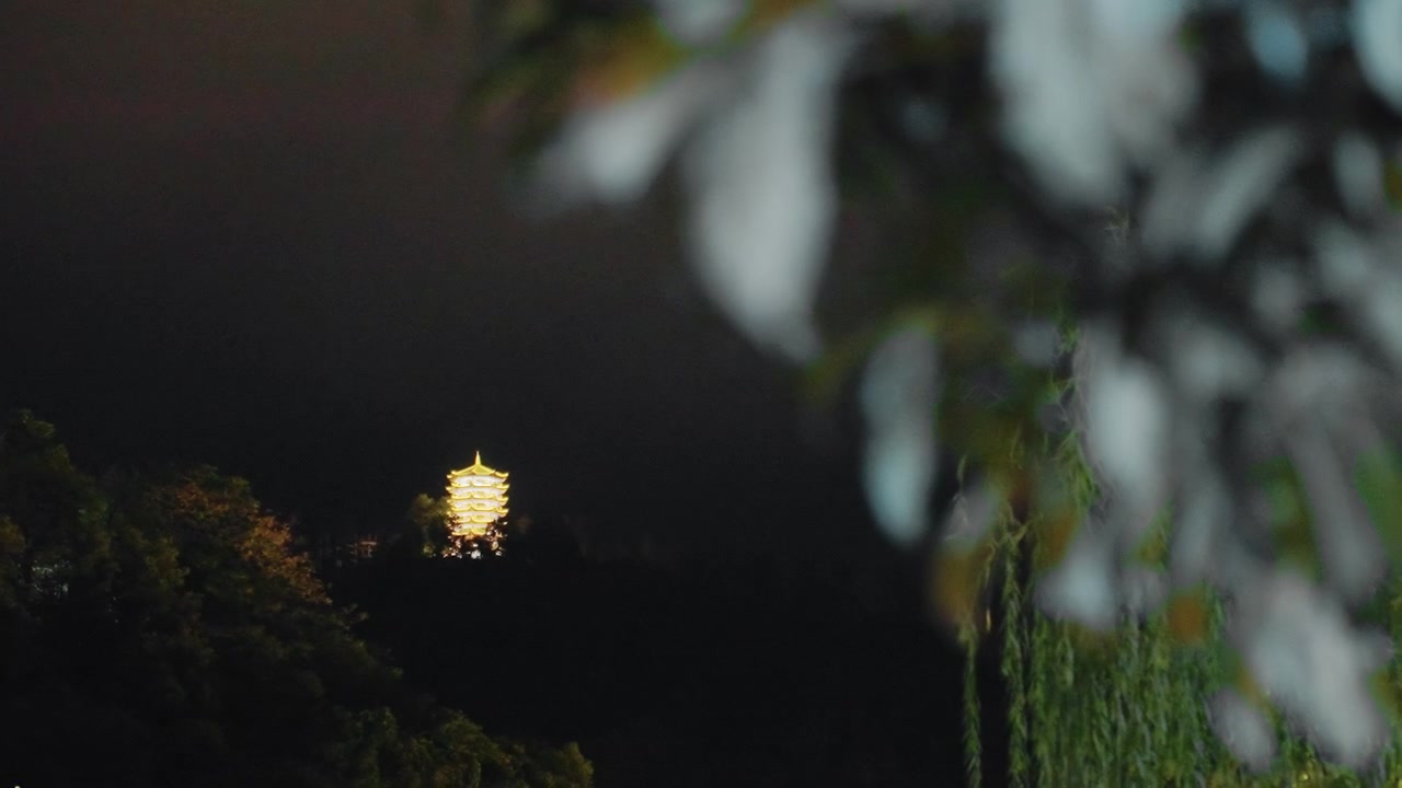 Vista notturna con una torre illuminata in lontananza, incorniciata da foglie sfocate e silhouette di alberi, un caldo bagliore di faro contro un cielo senza stelle, bokeh morbido e texture granulosa da pellicola, atmosfera calma e misteriosa.