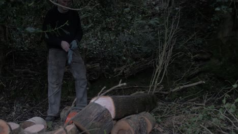 Man-walks-to-continue-cutting-felled-tree-4K