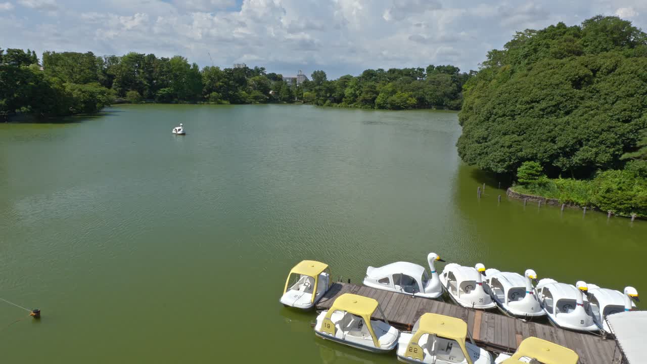 A peaceful view of Senzokuike Pond in Tokyo, Japan, known for its natural beauty and recreational activities like boating. Lush greenery surrounds the tranquil water.