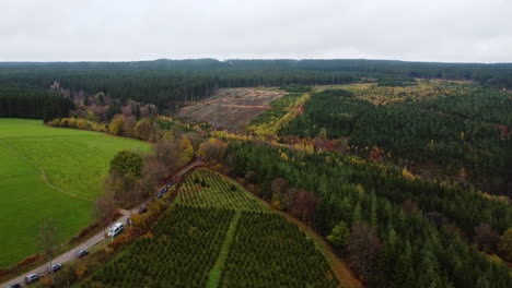 land plot of agriculture forest with cut down trees, aerial drone view