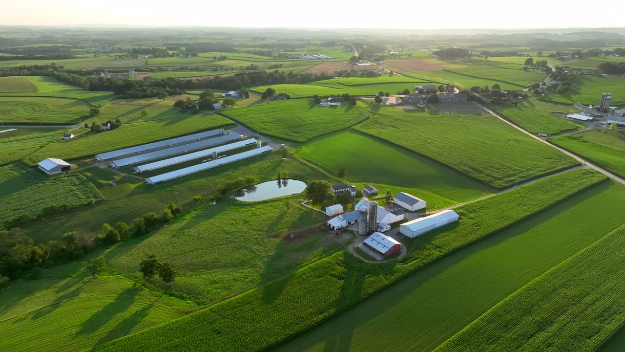 el campo estadounidense.