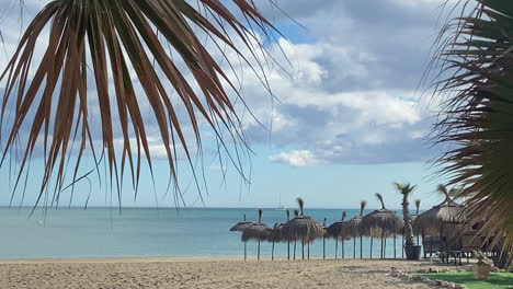 Beautiful-general-shot-of-a-beach-in-Malaga-in-summer-with-a-palm-tree-framing-the-landscape